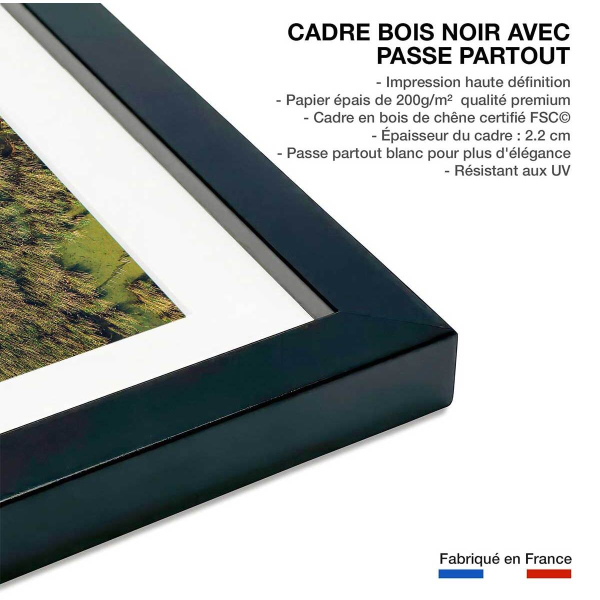 Affiche végétaux et flore aquatique Affiche + cadre en bois - Noir
