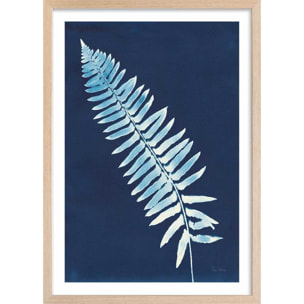 Affiche Fougère bleue Affiche + cadre en bois - Chêne