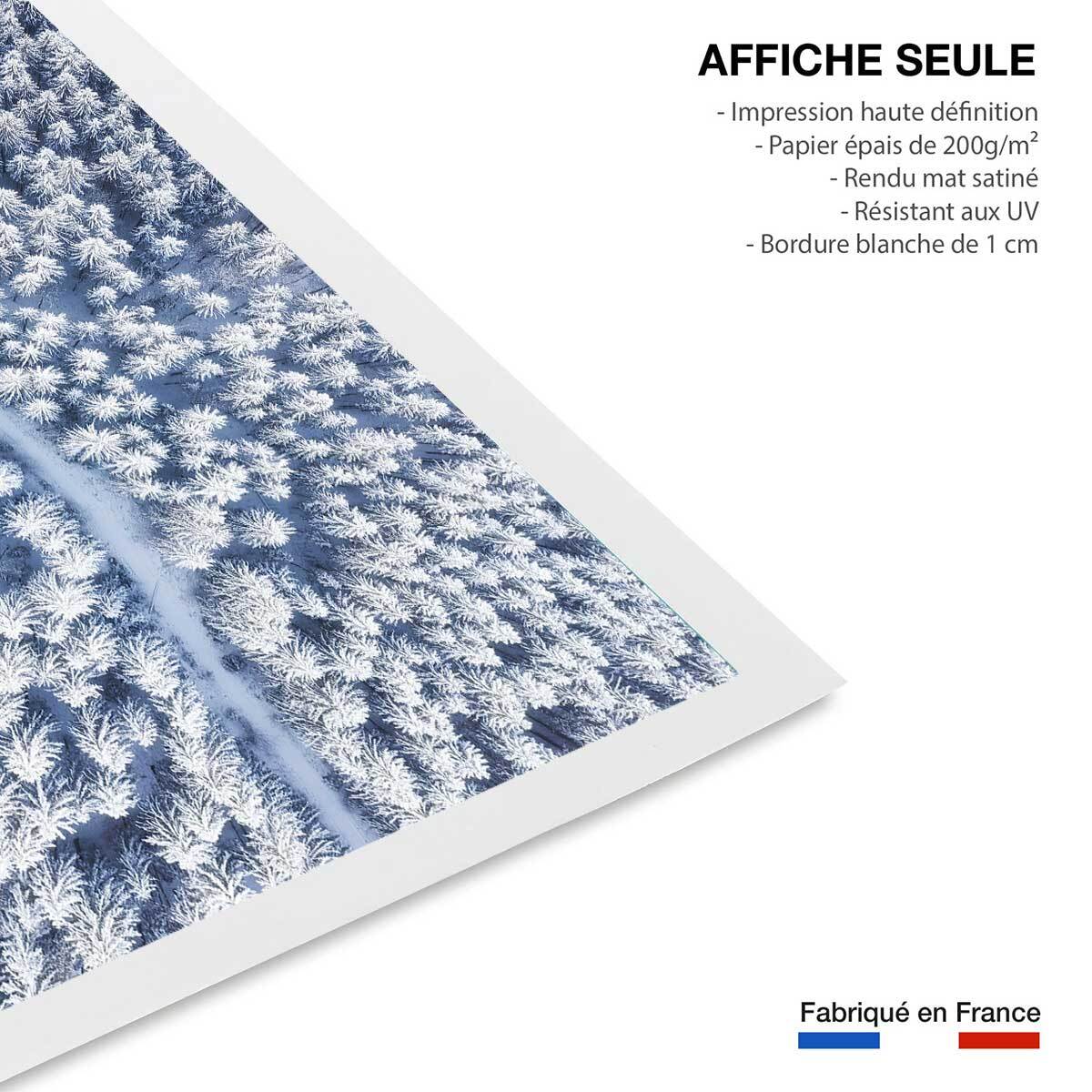 Affiche bleue de neige blanche Affiche seule