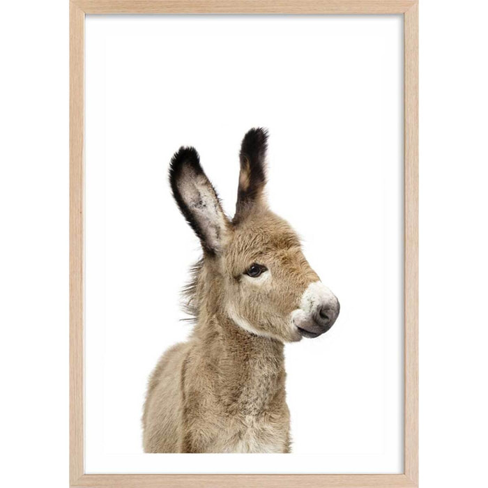 Affiche enfant anon  Affiche + cadre en bois - Chêne