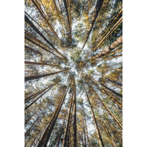 Tableau perspective des cîmes Tableau alu Dibond