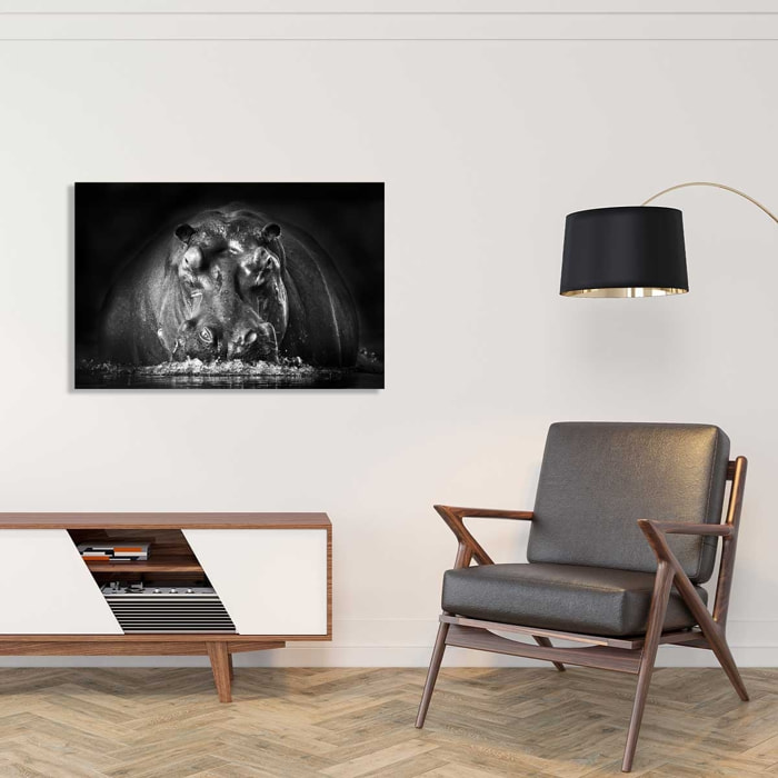 Tableau animaux portrait hippo Tableau plexiglas