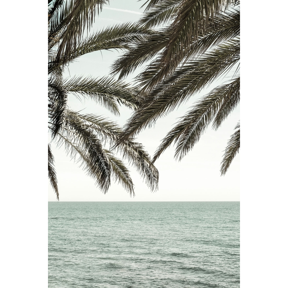 Tableau plage tropicale secrète Tableau alu Dibond