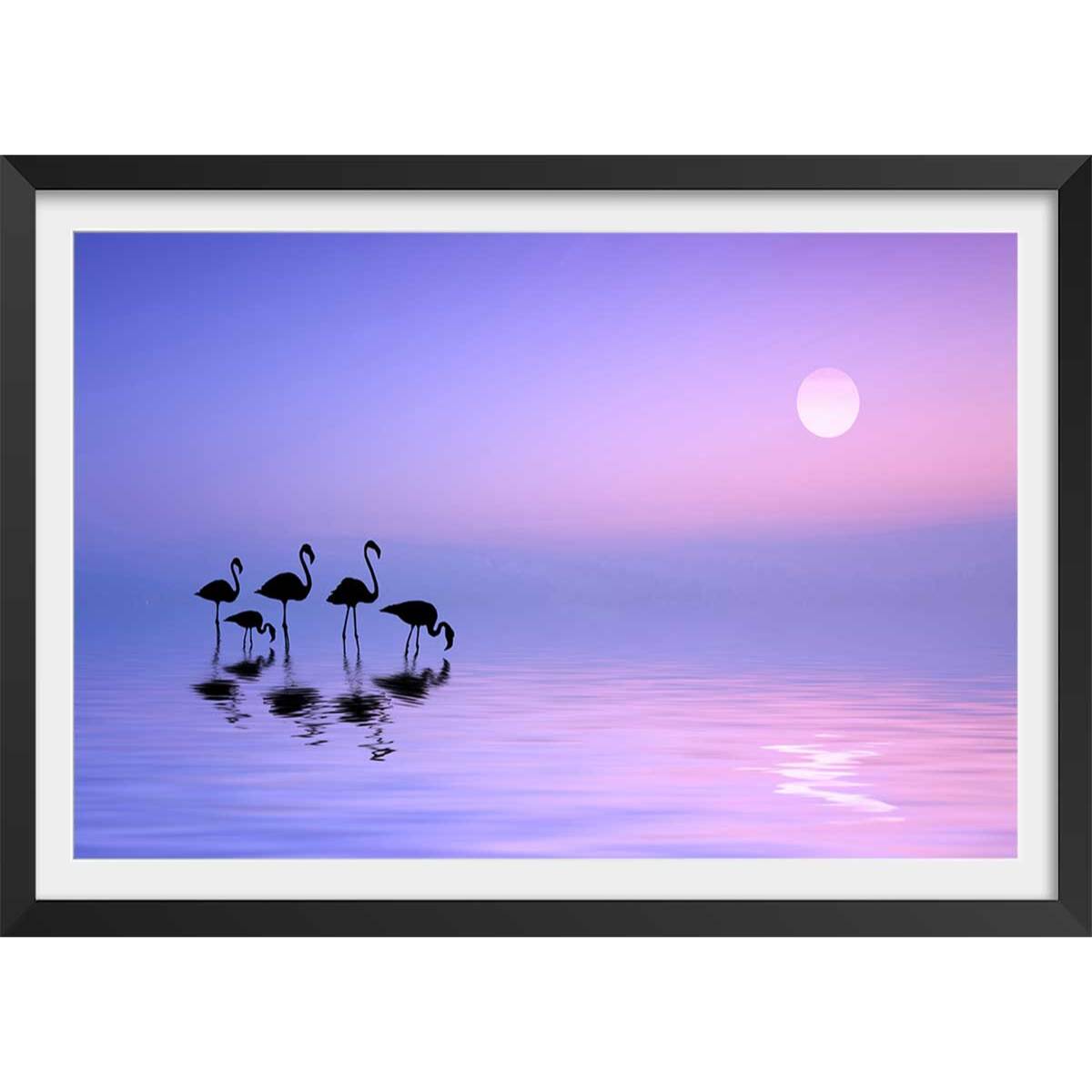 Affiche animaux Morning Flamingo Affiche + cadre en bois - Noir