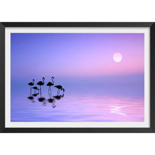 Affiche animaux Morning Flamingo Affiche + cadre en bois - Noir