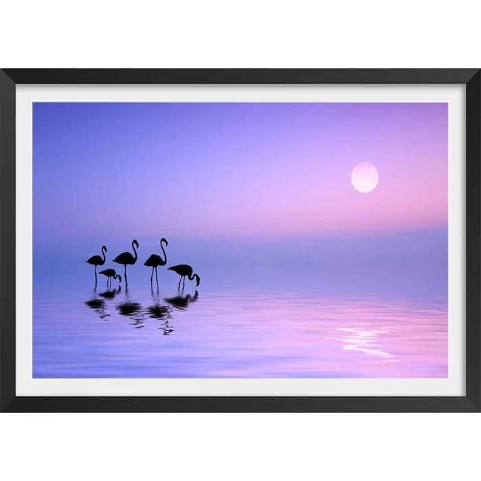 Affiche animaux Morning Flamingo Affiche + cadre en bois - Noir