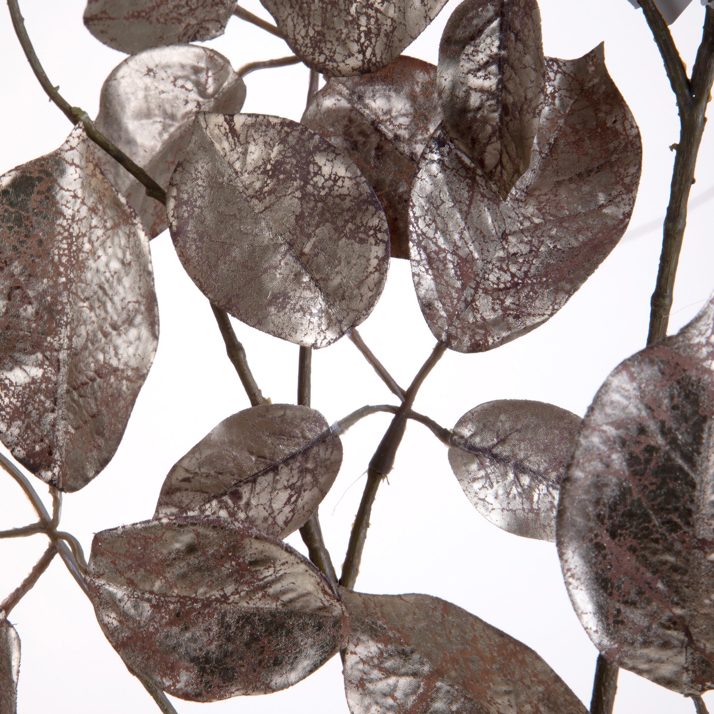 Faggio ramo - Pezzi 6 - 21xH123x0,5cm - Bianchi Dino SpA