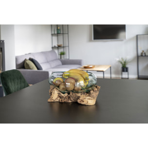 Terrario San Marino in vetro a conca ovale su grande base in radice di teak 26x26xh20 cm