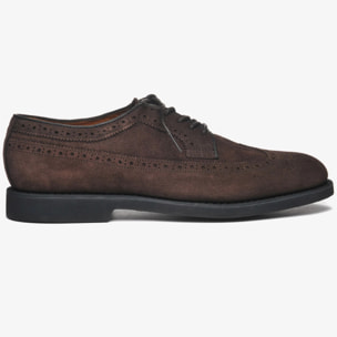 Sebago - Scarpe allacciate Uomo Marrone - Canton Suede