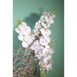 Phalenopsis Con 9 Fiori. Altezza 110 Cm - Pezzi 2 - 15X110X7cm - Colore: Bianco - Bianchi Dino - Fiori Artificiali