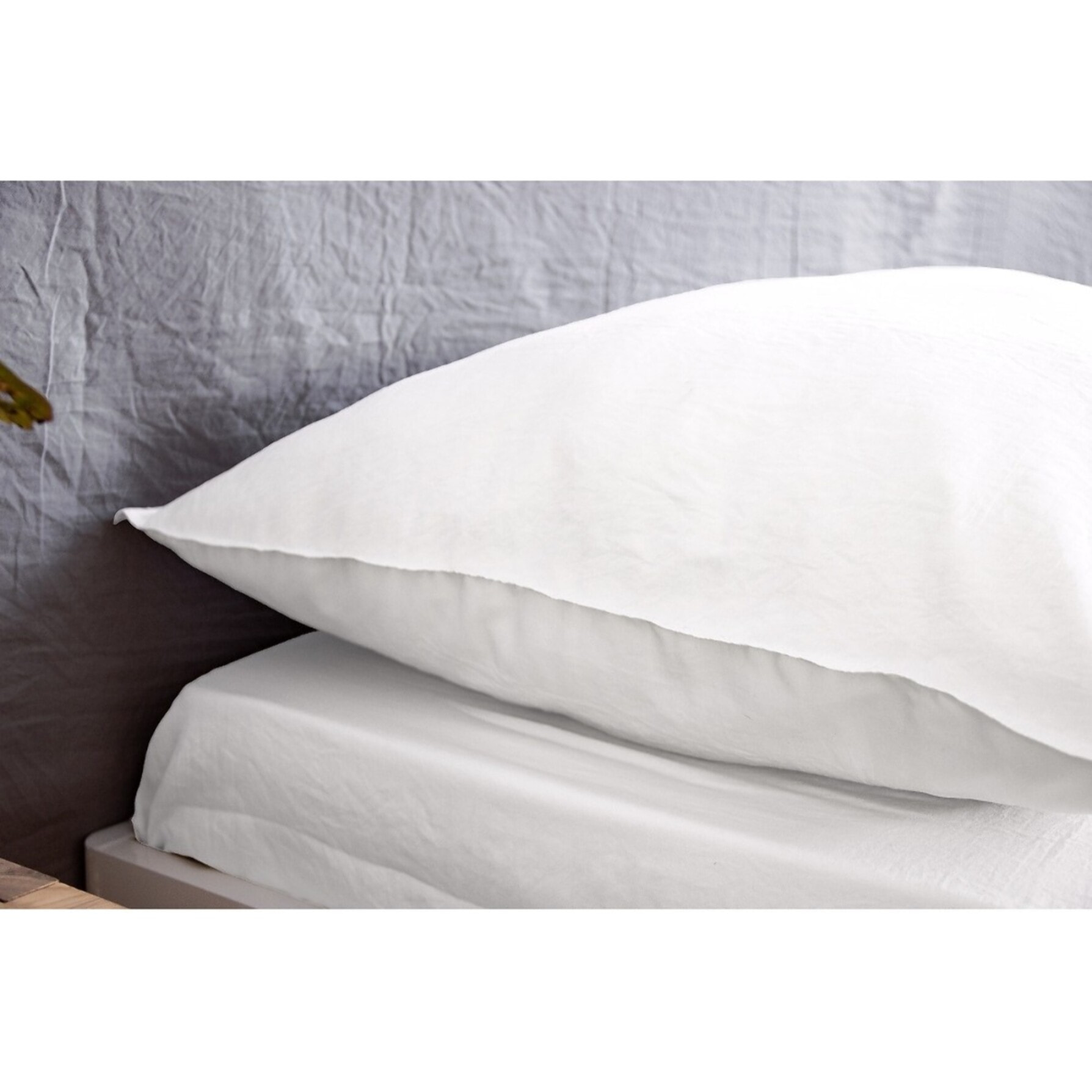 Drap Housse Microfibre Lavee - Bonnet 28cm Blanc