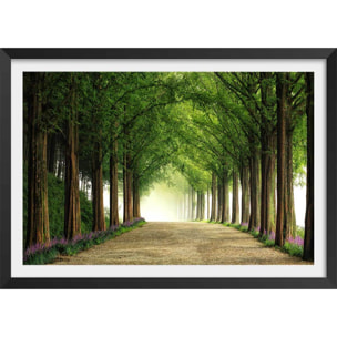 Affiche L'arbre Metasequoia Affiche + cadre en bois - Noir