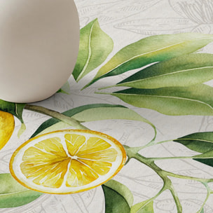 Nappe anti-taches 100% coton Jacobo