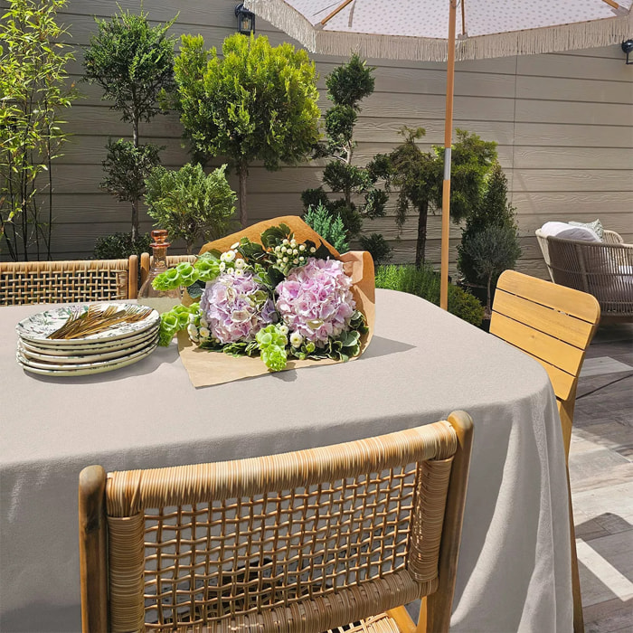 Nappe Paradia lin