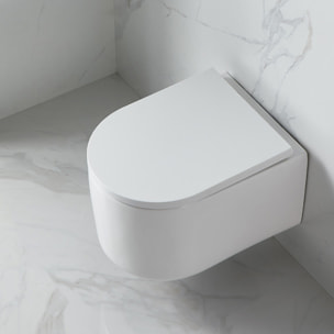 Pack WC Bâti Geberit + WC sans bride Swiss Aqua Technologies + Abattant softclose + Plaque + Brosse Joseph Joseph OFFERTE