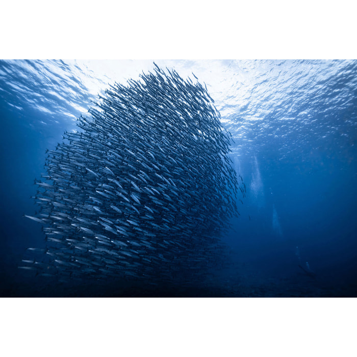 Tableau Masse bleue Tableau alu Dibond