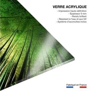 Tableau nature forêt de bambous à kyoto Tableau plexiglas