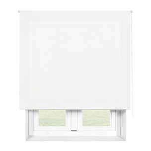 Store enrouleur Polyester Translucide 120x175