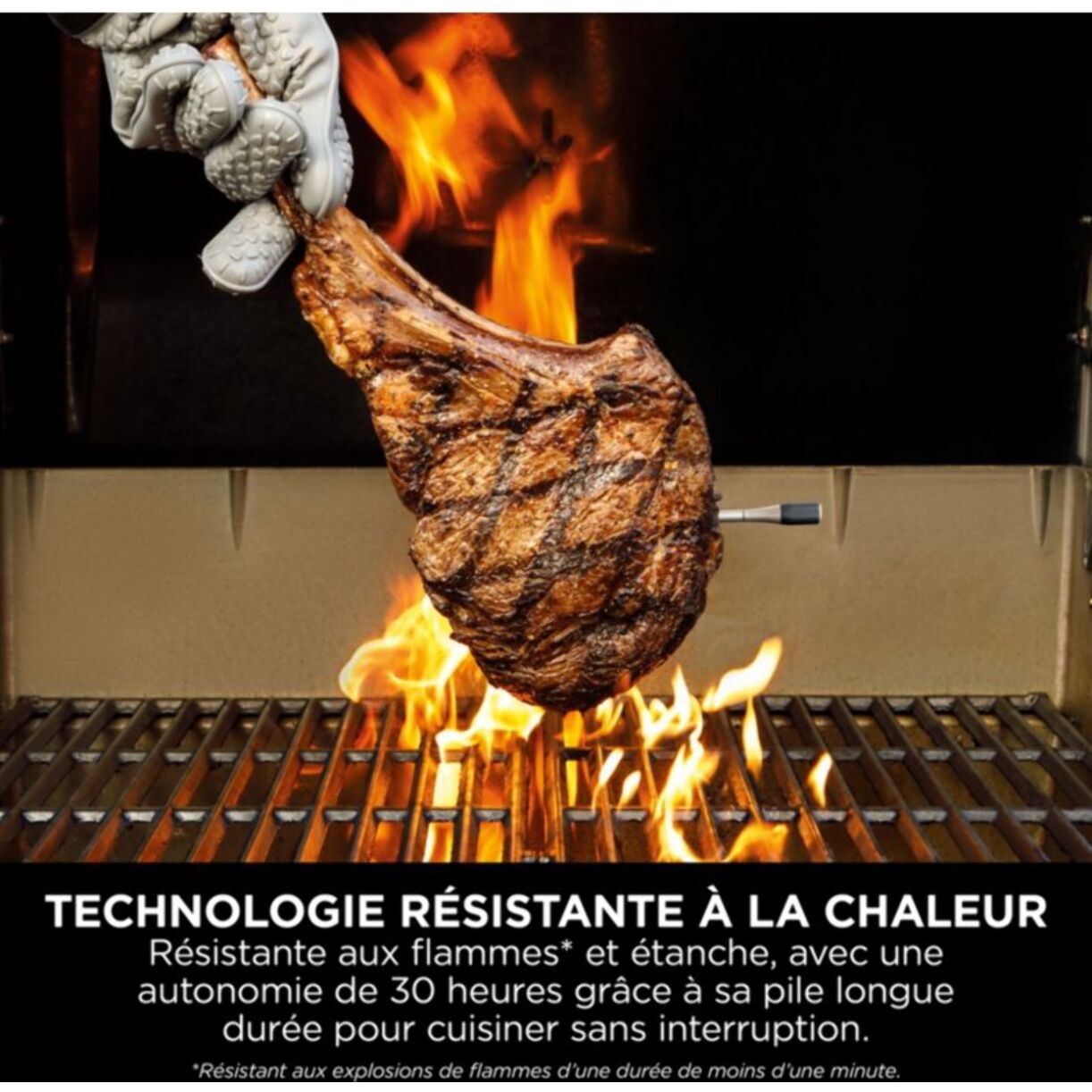 Thermomètre cuisson NINJA ProChef Wireless