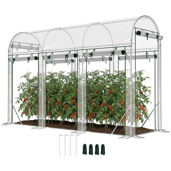 Invernadero de Exterior 3x1x2 m, Invernadero de Túnel con 8 Puertas Enrollables, Cubierta de Plástico y Marco de Acero Galvanizado, Anti-UV, Impermeable, para Cultivos, Transparente