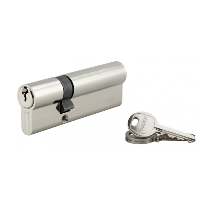 Cylindre de serrure double entrée SA, 30 x 60 mm, anti-arrachement, nickel, 3 clés - 1 pièce - THIRARD - 00016391