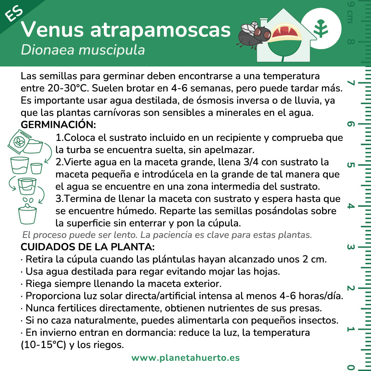 PLANETA HUERTO | Kit de Autocultivo Planta Carnívora Venus Atrapamoscas Planeta Huerto – Fácil y Divertido para Cultivar en Casa