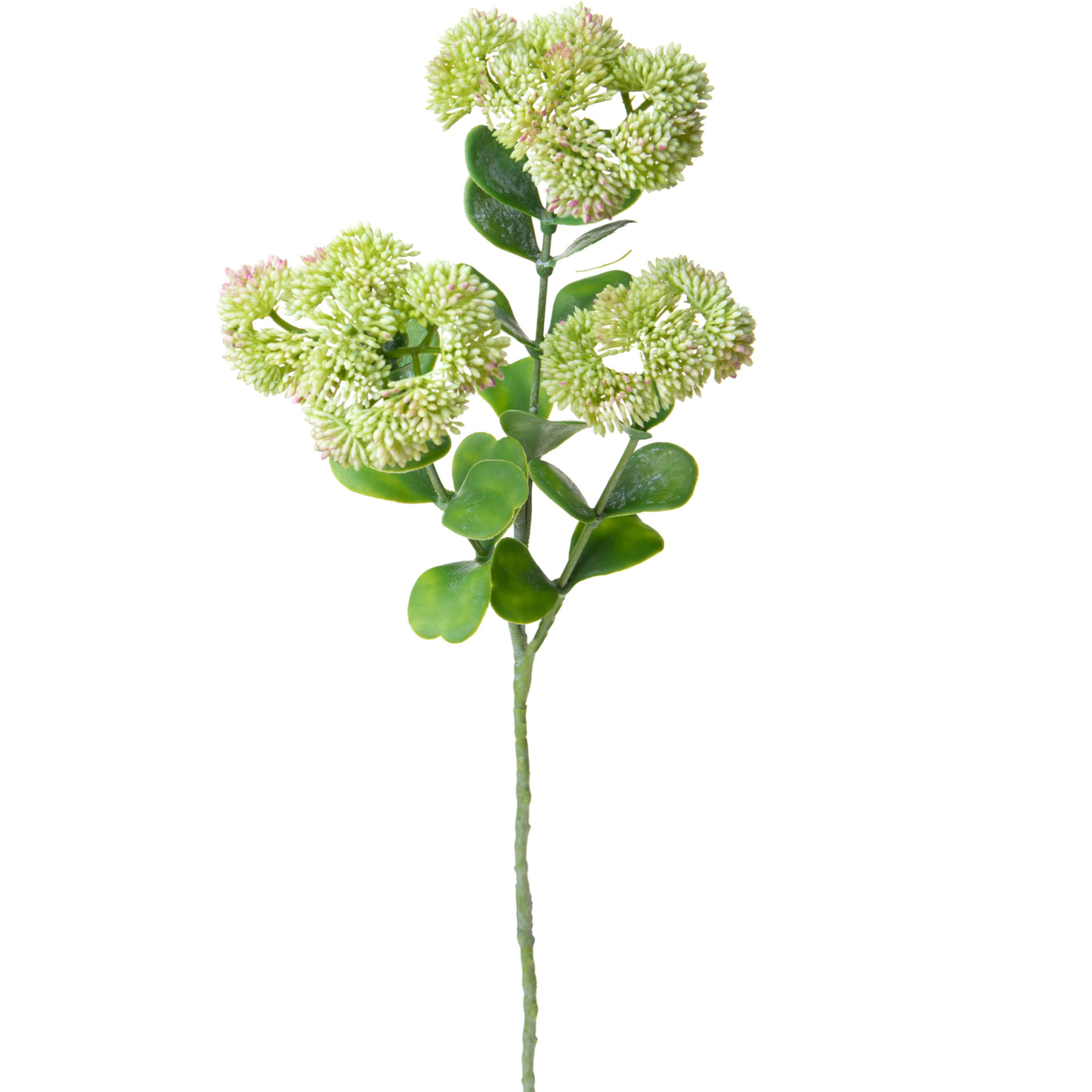 Sedum per 3 altezza 56 Cm - Pezzi 6 - 17X56X17cm - Colore: Verde - Bianchi Dino - Fiori Artificiali