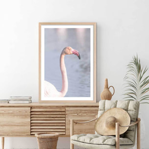 Affiche pastel pink flamingo Affiche + cadre en bois - Chêne