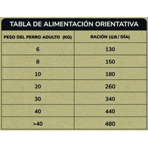 Pienso Natural Grain Free Superpremium Salmón 12 kg Planeta Huerto
