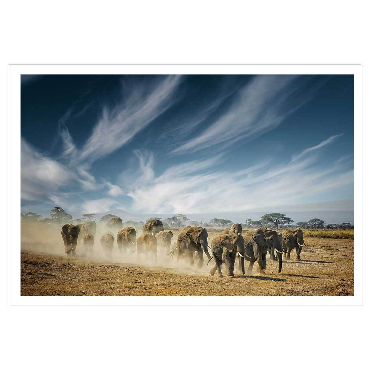 Affiche animaux éléphantfamily Affiche seule