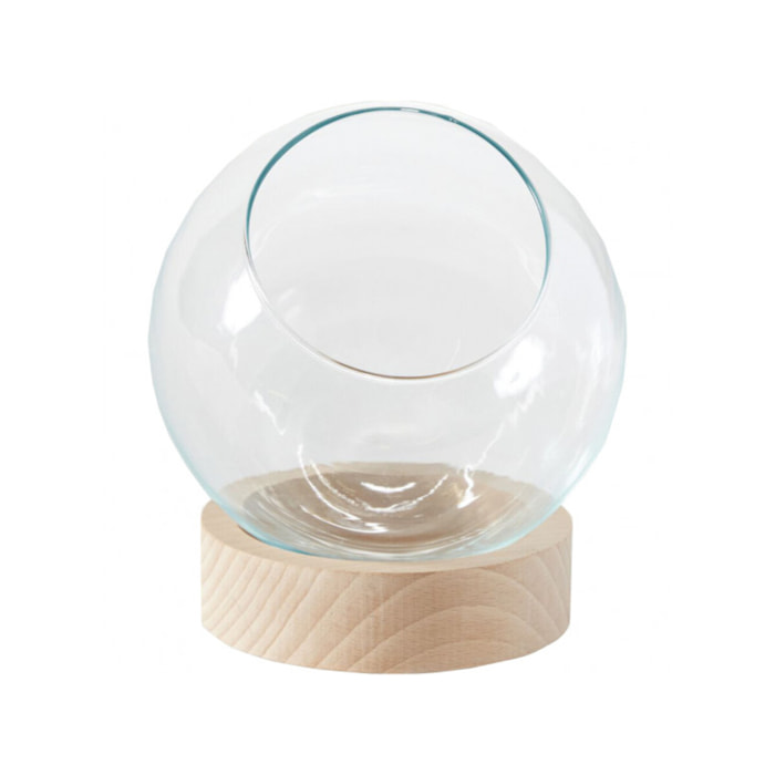 Terrarium en verre et socle en bois - transparent D14cm - MANHATTAN 645