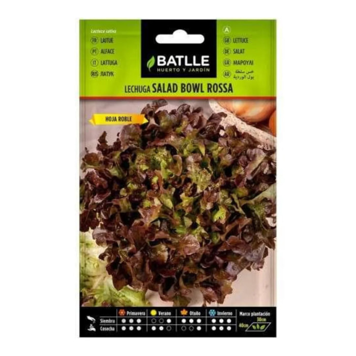 Semillas de Lechuga Roble Batlle