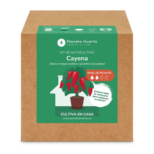 Kit de autocultivo Cayena Planeta Huerto