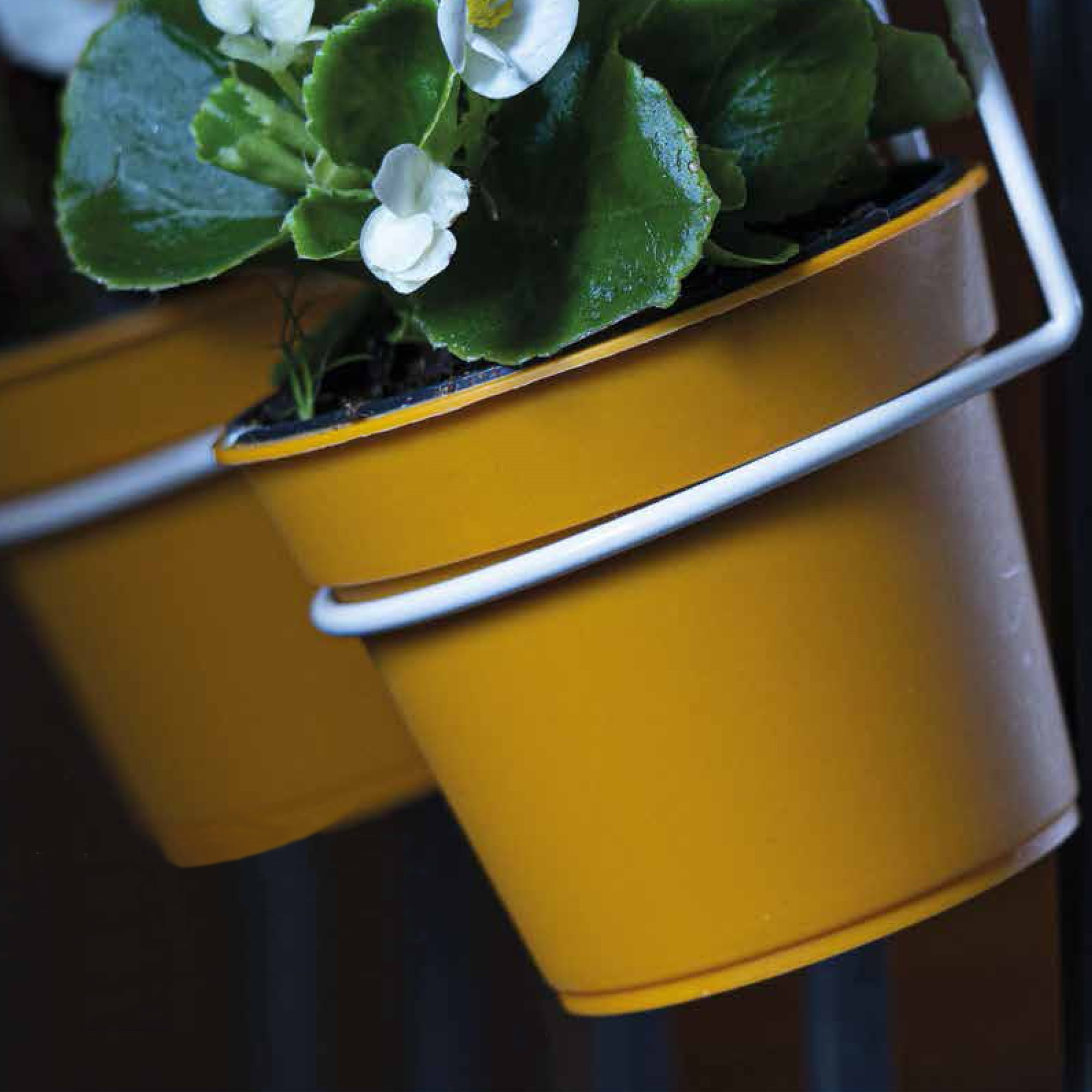 6 macetas cilíndricas ø 10 cm con ganchos, de polipropileno