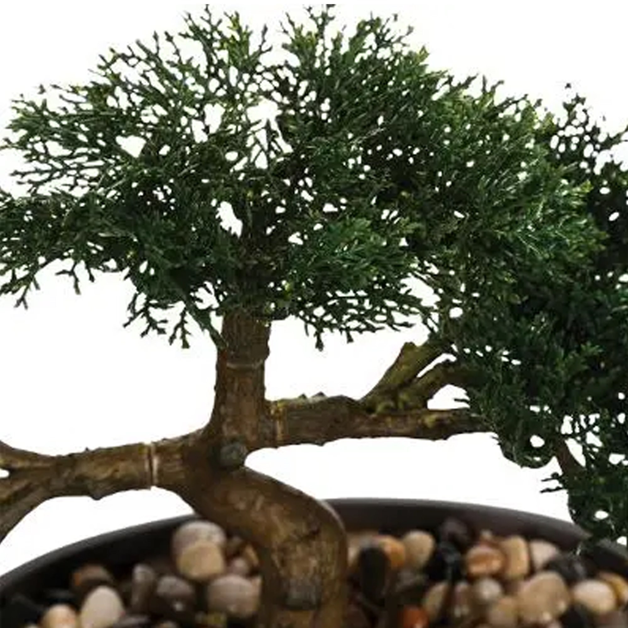 Bonsai artificial en maceta de cerámica  23cm - Instinto natural