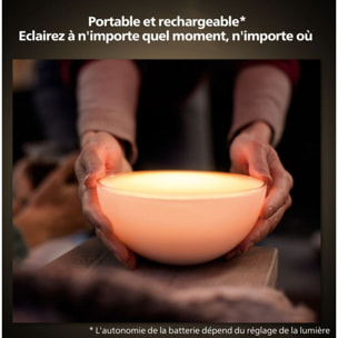 Lampe connectée PHILIPS HUE Go White&Color Ambiance