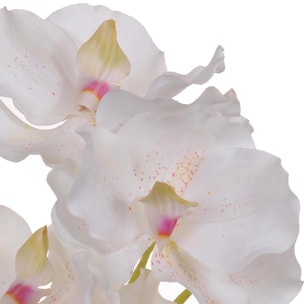 Orchidea Vanda. Altezza 62 Cm - Pezzi 4 - 18X62X11cm - Colore: Altro - Bianchi Dino - Fiori Artificiali