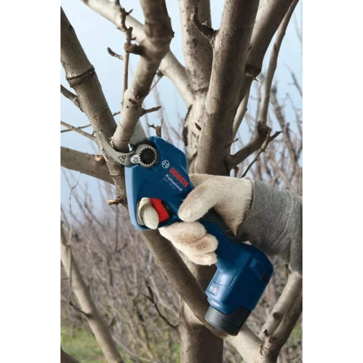 Élagueur sans fil Pro Pruner GGP 12V-25 Professional avec 2 Batteries + 1 Chargeur - BOSCH - 06008D8100