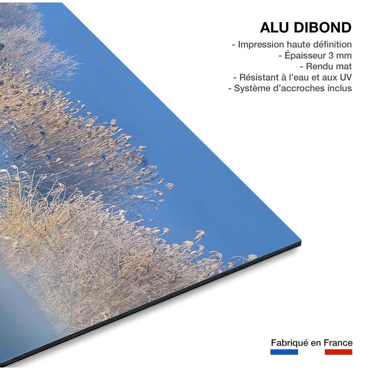 Tableau cygnes dans le givre matinal Tableau alu Dibond