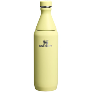 Botella de agua Isotermica - 0,59L - ALL DAY SLIM BOTTLE - Pomelo Gloss