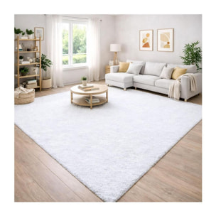 Tapis poils longs shaggy tissé motif uni RIBI