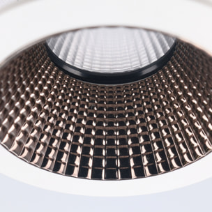 FORLIGHT Forlight - Plafón LED 64W Regulable, Luz Ajustable 3000K-6000K, Diseño Moderno Blanco y Madera, Diámetro 61 cm, Ideal para Interiores Acogedores y Luminosos