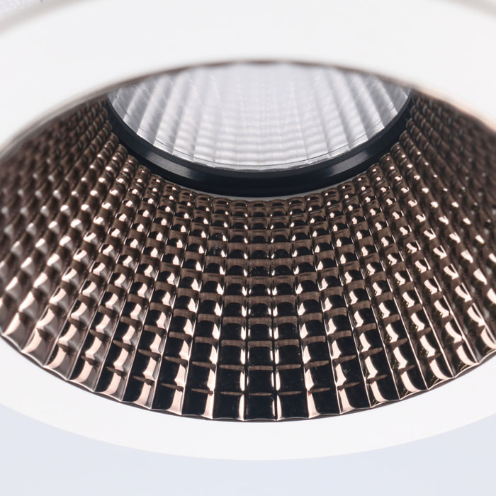 FORLIGHT Forlight - Plafón LED 64W Regulable, Luz Ajustable 3000K-6000K, Diseño Moderno Blanco y Madera, Diámetro 61 cm, Ideal para Interiores Acogedores y Luminosos