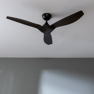 Ventilatori da soffitto EnergySilence Aero 5200 BlackWood Cecotec