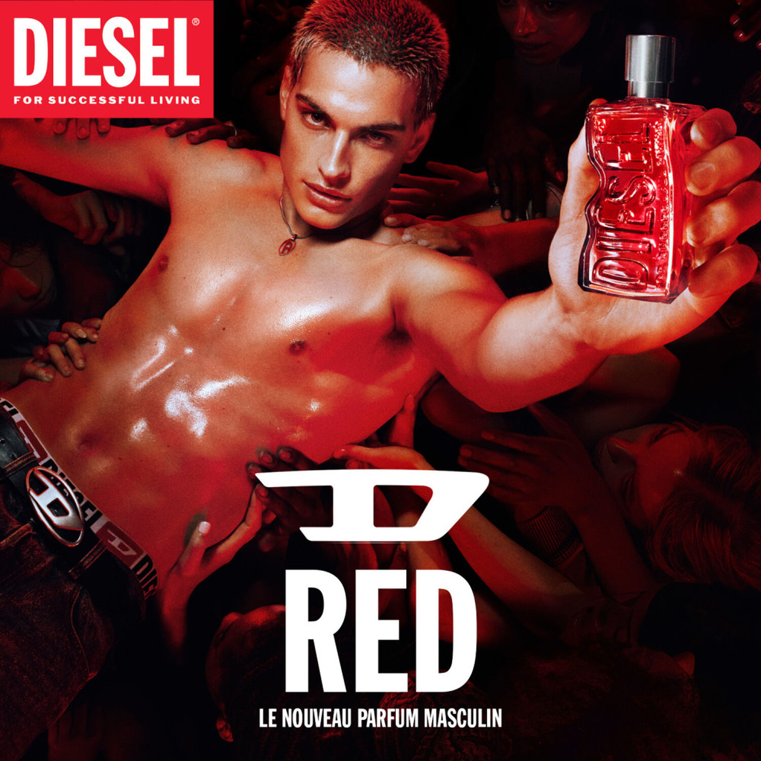 D RED - Eau de Parfum