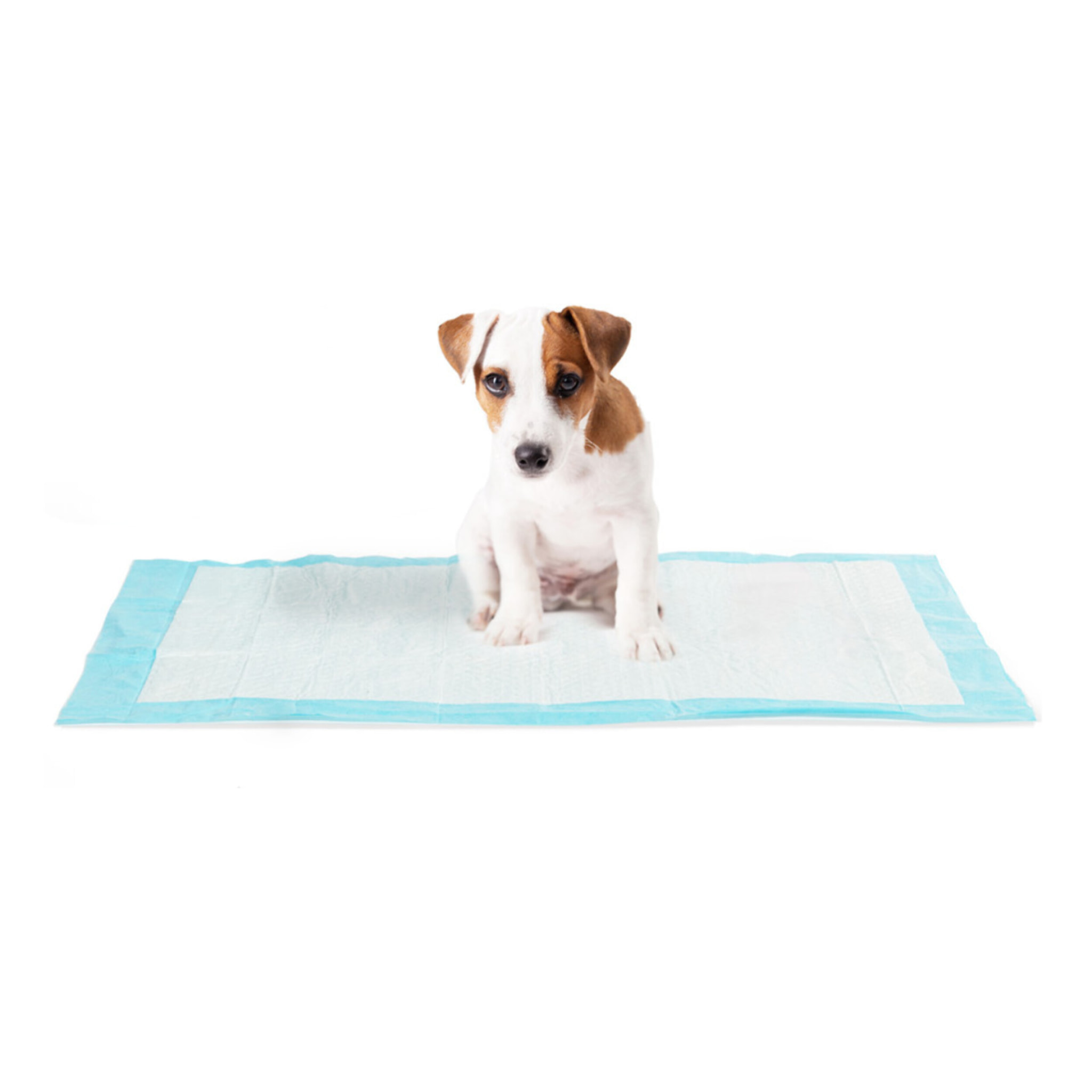 Tapis éducateurs pour chiens - Lot de 100