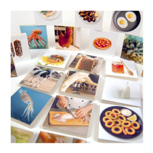 Animals Food Origin