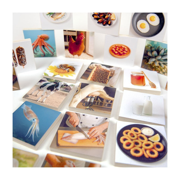 Animals Food Origin