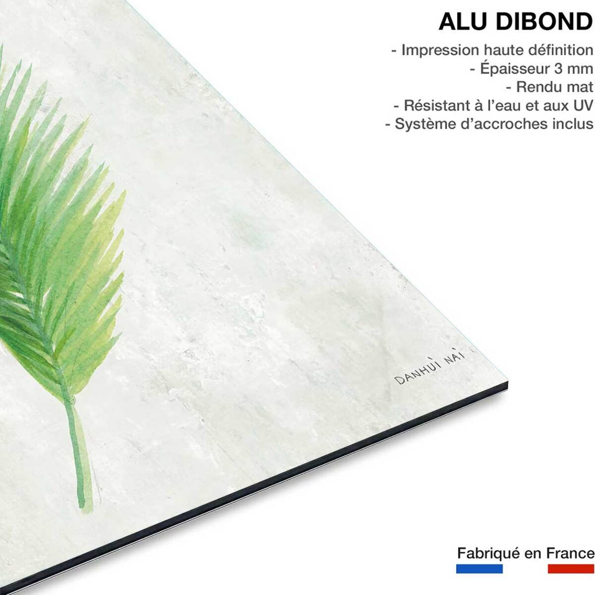 Tableau fleurs tropicale illustrée Tableau alu Dibond