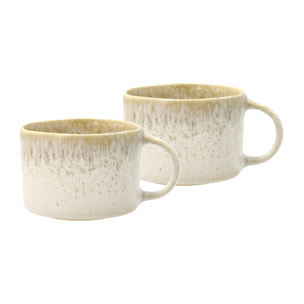 Set de 2 mugs avec anse Styles 16cl